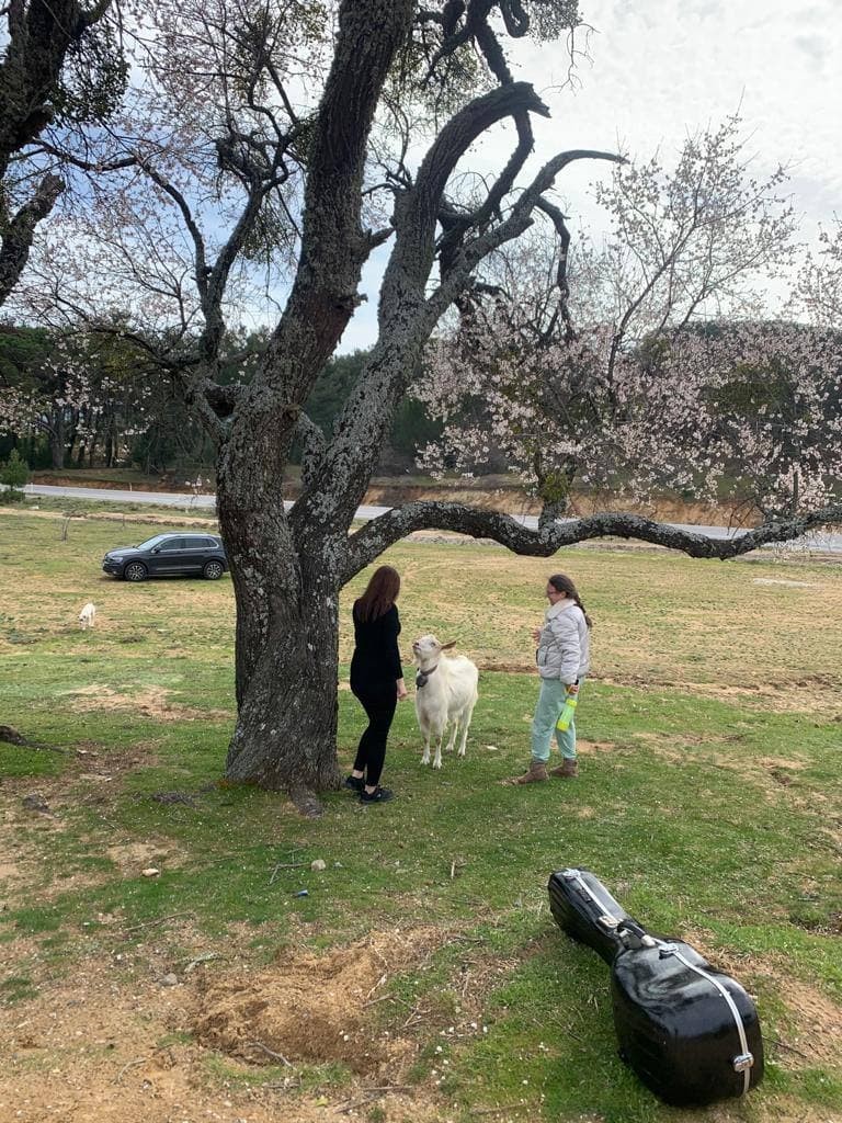  Making a new music video for spring 