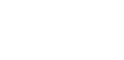 لوگو شادی وحیدی